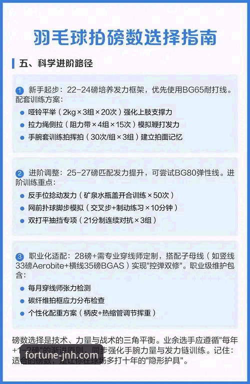 技术评测员深度解析：今年会体育平台官网与APP的实战体验与选择指南