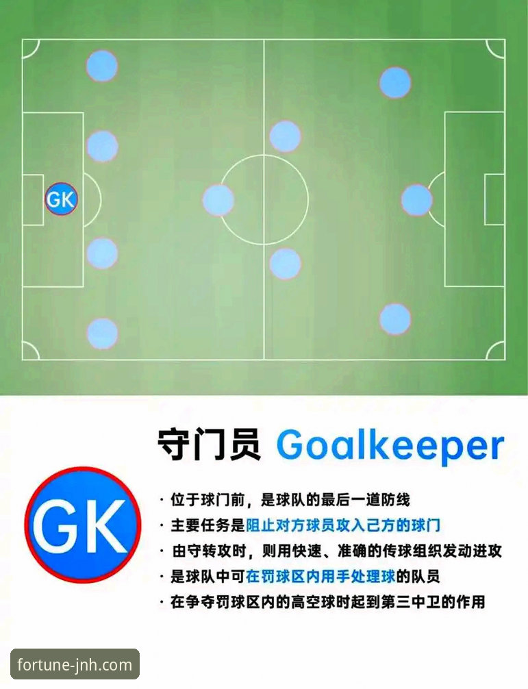 今年会体育(JNHCOM)入口全方位详解